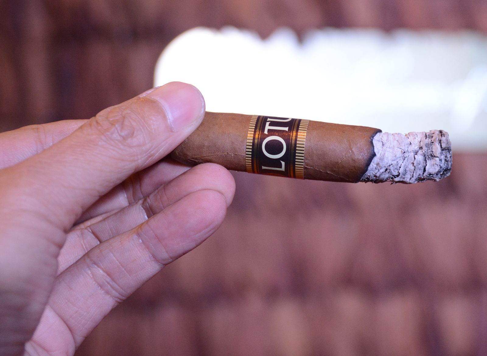 Những hình ảnh ệp trong bữa tiệc CIGAR VIET - 2019