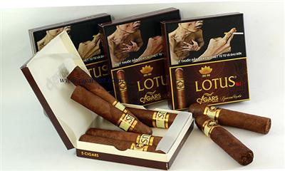 Cigar LOTUS