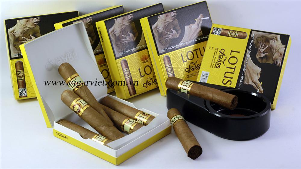 Cigar Lotus No1