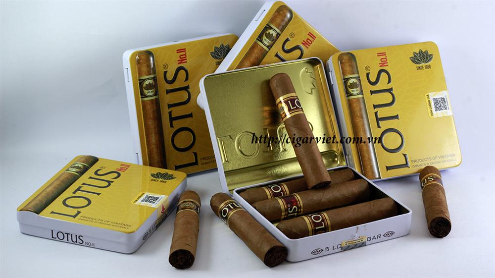 Cigar Lotus No 2