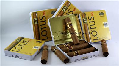 Cigar Lotus No 2