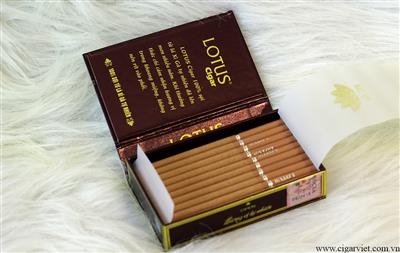 Cigar Lotus Cigar loại 30 điếu