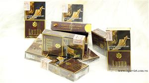 CIGAR VIET chuyên bán buôn các loại xì gà Lotus Clup toàn Quốc, bán lẻ tại Hà Nội, 