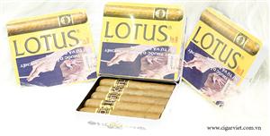 CIGAR VIET chuyên bán buôn các loại xì gà Lotus no2, bán lẻ tại Hà Nội, Quảng Bình, Hải Phòng, Quảng