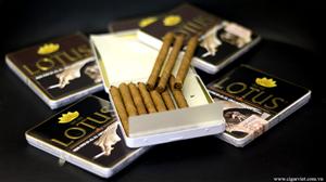 CIGAR VIET chuyên bán buôn các loại xì gà Lotus mini  bán lẻ tại Hà Nội