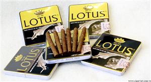 CIGAR VIET chuyên bán buôn các loại xì gà Lotus mini  bán lẻ tại Hà Nội