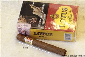 CIGAR VIET chuyên bán buôn các loại xì gà Lotus 10 short hộp vàng và bán lẻ tại Hà Nội